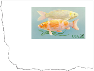 Koi Stamped Card